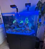 Eheim incpiria zeeaquarium 300L, Dieren en Toebehoren, Ophalen, Gevuld zeewateraquarium