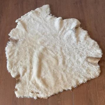 Authentieke schapenvacht nr. 59 beschikbaar voor biedingen