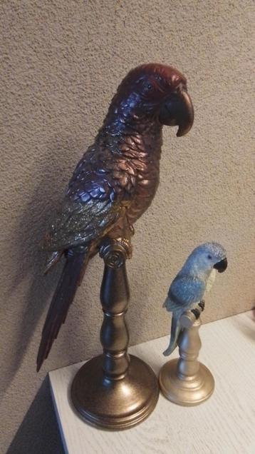 Papegaai klein hoogte23 cm beschikbaar voor biedingen