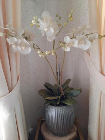 kunstplant kunst orchidee orchideeën in zilveren  pot