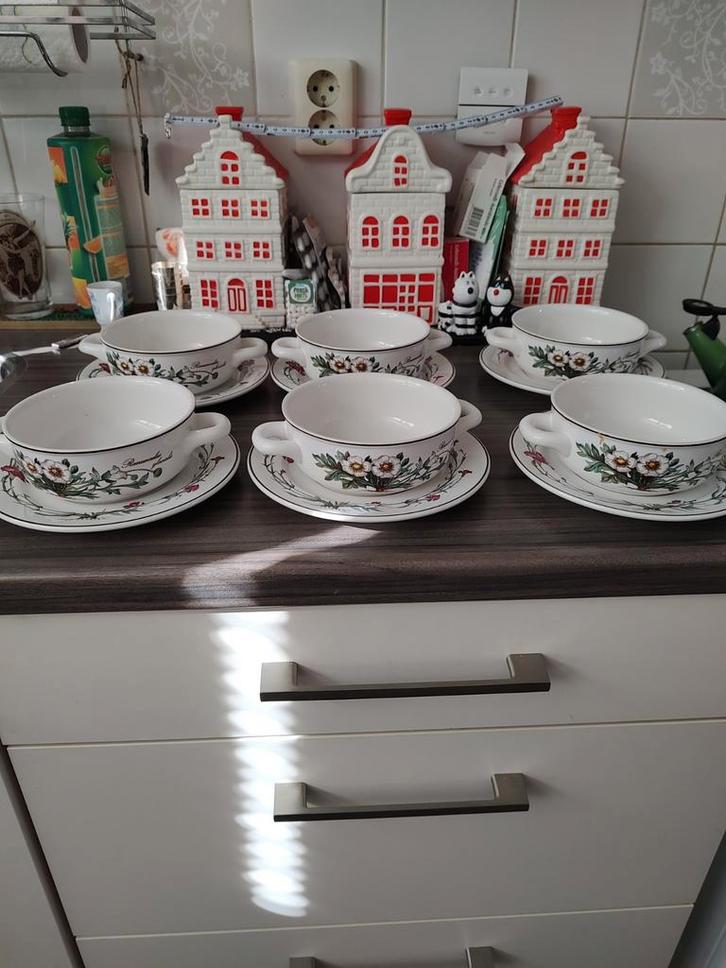 Botanica Soepkommen met Schotels V&B, Huis en Inrichting, Keuken | Servies, Zo goed als nieuw, Kom(men), Overige stijlen, Porselein