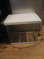Aquarium, Ophalen, Gebruikt, Leeg aquarium