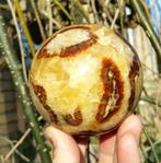 Septarie bol Madagascar, Ophalen of Verzenden, Mineraal