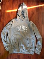 Balenciaga Hoodie Maat M, Kleding | Heren, Maat 48/50 (M), Ophalen of Verzenden, Zo goed als nieuw, Grijs