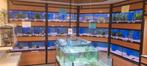Juwel Aquarium Stelling, Dieren en Toebehoren, Ophalen, Zo goed als nieuw, Leeg aquarium