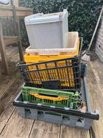 Plastic bakken/ kratten, Ophalen, Gebruikt, Krat, Minder dan 35 cm