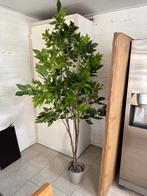 Kunstplant 200cm hoog, Ophalen, Zo goed als nieuw, Binnen