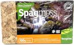 10 x Besgrow Nieuw-Zeeland Klassieke Spagmoss 8L, Ophalen of Verzenden, Nieuw