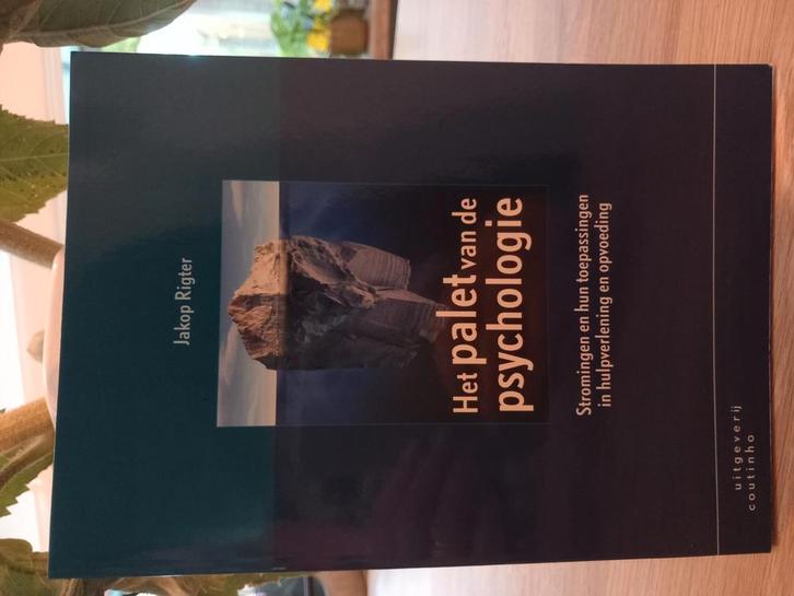 Jakop Rigter - Het palet van de psychologie, Boeken, Psychologie, Zo goed als nieuw, Ophalen