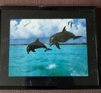 Set van 4 dolfijnenschilderijtjes z.g.a.n., Huis en Inrichting, Woonaccessoires | Schilderijen, Tekeningen en Foto's, Minder dan 50 cm