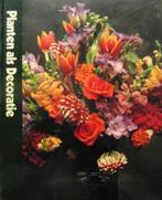 Planten als decoratie, Ophalen of Verzenden, Zo goed als nieuw, Tuinieren en Tuinplanten