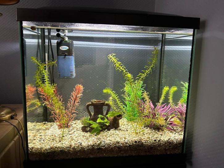aquarium (compleet) voor starters, Dieren en Toebehoren, Vissen | Aquaria en Toebehoren, Zo goed als nieuw, Overige typen, Ophalen