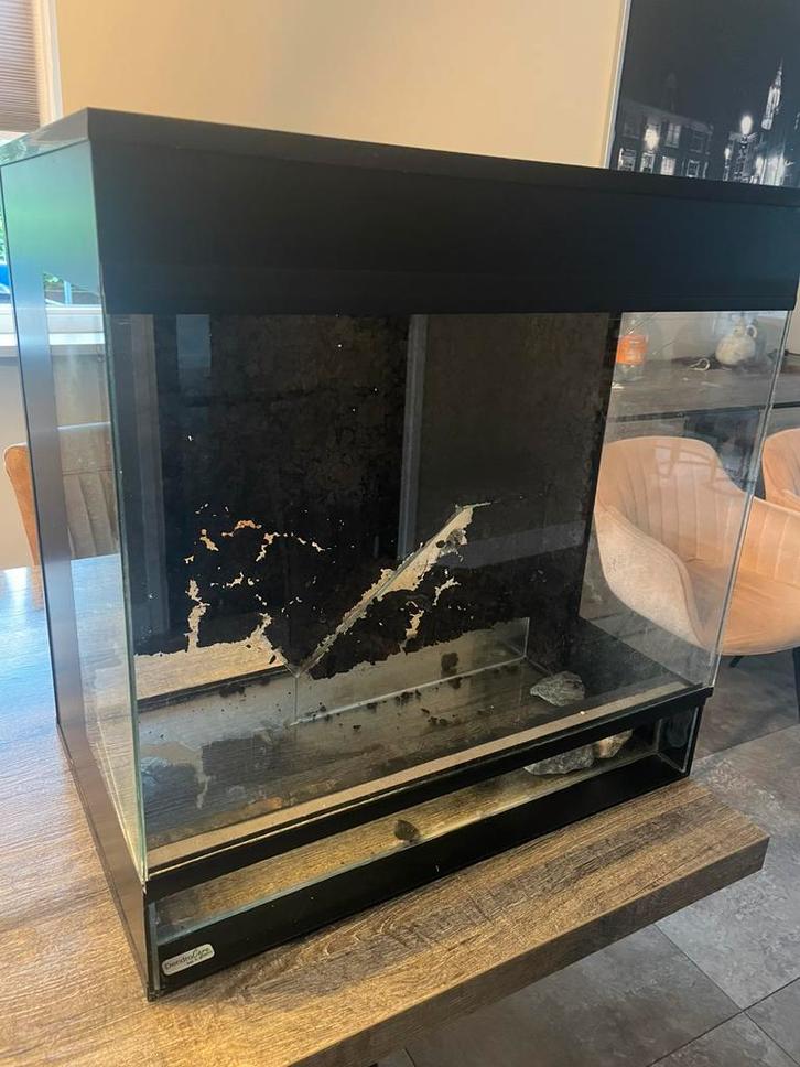 Dendrocare terrarium 60x40x60, Dieren en Toebehoren, Reptielen en Amfibieën | Toebehoren, Gebruikt, Terrarium of Paludarium, Ophalen