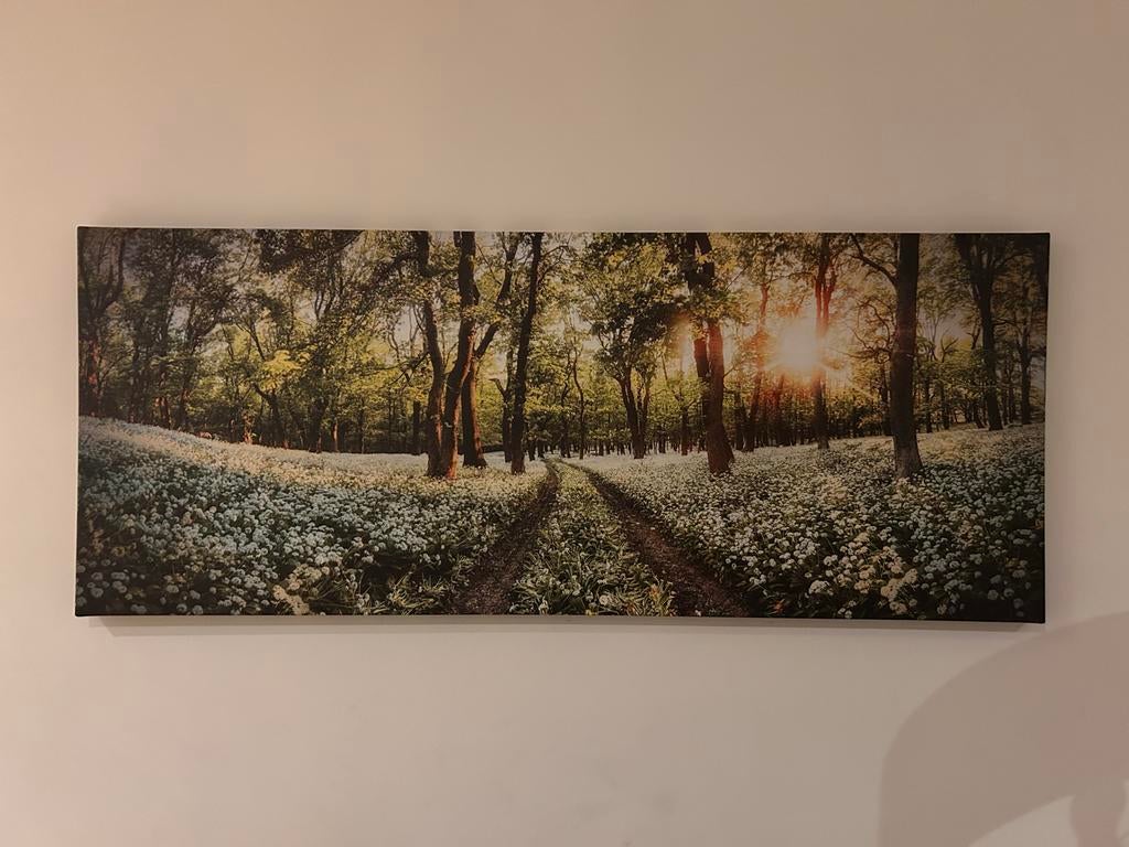 Schilderij Boslandschap - 150x60 cm, 50 tot 75 cm, 125 cm of meer, Ophalen of Verzenden, Zo goed als nieuw