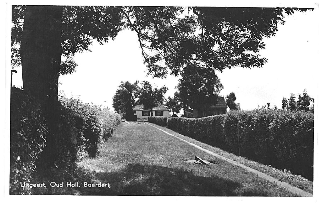 965595 Uitgeest Oud Holl Boerderij 1951 NH Gelopen met