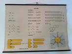 Vintage Schoolplaat - Vetten - J. Verhave & Zn., Ophalen of Verzenden, Natuur en Biologie