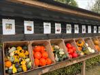 Pompoenen Halloween, Diversen, Levensmiddelen, Ophalen