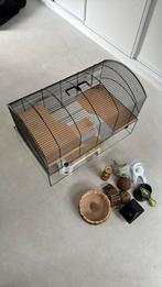 Hamsterkooi + toebehoren, Dieren en Toebehoren, Kooi, Gebruikt, Minder dan 75 cm, Hamster