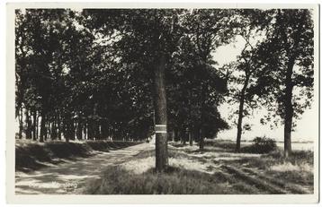 Borger, Koesteeg beschikbaar voor biedingen