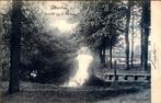 Almelo - de Loolee - 1904, Gelopen, Ophalen of Verzenden, Overijssel, Voor 1920