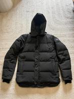 Canada Goose Winterjas - Black label, Kleding | Heren, Jassen | Winter, Maat 48/50 (M), Zwart, Canada Goose, Ophalen of Verzenden