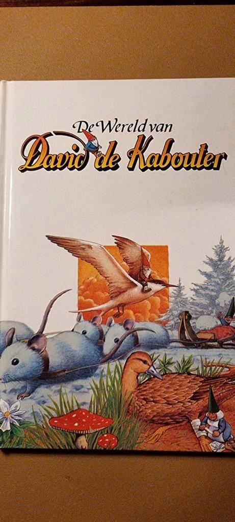 De Wereld van David de Kabouter, Boeken, Kinderboeken | Jeugd | onder 10 jaar, Gelezen, Sprookjes, Ophalen of Verzenden