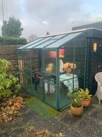 Tuinkas Vitavia Ida 3300 groen, Ophalen, Gebruikt, Muurkas, Glas