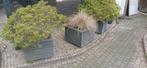 6 Plantenbakken - Steenlook, Tuin, Gebruikt, Verzenden, Minder dan 60 cm