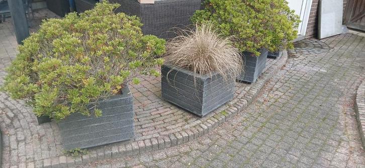 6 Plantenbakken - Steenlook, Tuin en Terras, Bloembakken en Plantenbakken, Gebruikt, Beton, Binnen, Balkon, Tuin, 30 tot 60 cm
