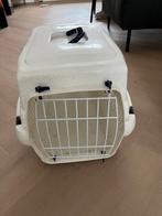 Reismand kat, Dieren en Toebehoren, Ophalen, Gebruikt