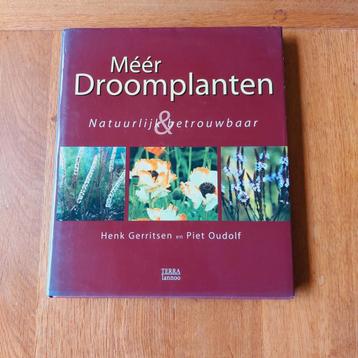 Meer Droomplanten - Piet Oudolf en Henk Gerritsen  beschikbaar voor biedingen