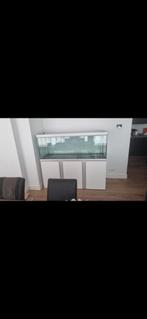 Akvastabil fusion 160 aquarium wit 160x60x64 met onderkast., Dieren en Toebehoren, Ophalen of Verzenden, Zo goed als nieuw, Leeg aquarium