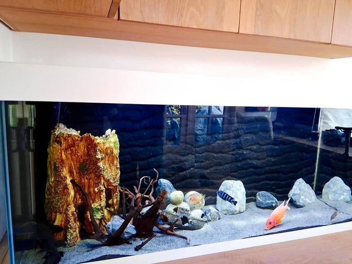 Aquarium, Dieren en Toebehoren, Vissen | Aquaria en Toebehoren, Leeg aquarium, Ophalen of Verzenden