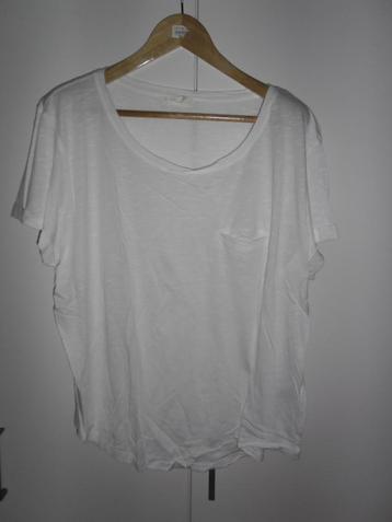 H&M Basic Wit T-shirt Maat XL (NIEUW)
