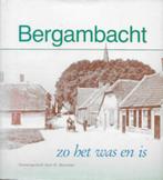 Een 2-tal boeken over BERGAMBACHT, Ophalen of Verzenden, 20e eeuw of later, Zo goed als nieuw
