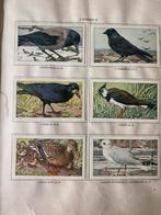 Verkade album Hans de Torenkraai - 1935, Boeken, Prentenboeken en Plaatjesalbums, Ophalen, Gelezen, H.E. Kuylman, Plaatjesalbum