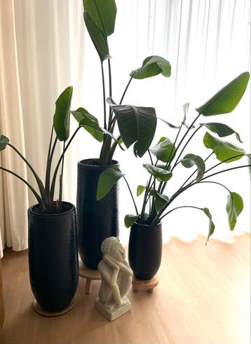 🪴Prachtige Vazen set Tokio, donker zw.blauw, aardewerk beschikbaar voor biedingen