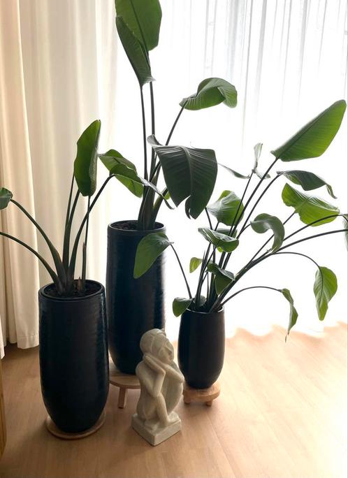🪴Prachtige Vazen set Tokio, donker zw.blauw, aardewerk, Tuin en Terras, Bloempotten, Zo goed als nieuw, Aardewerk, Binnen, Minder dan 25 cm