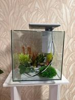 Superfish Qubiq 30 pro aquarium, Dieren en Toebehoren, Vissen | Aquaria en Toebehoren, Ophalen, Zo goed als nieuw, Leeg aquarium