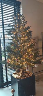 Kerstboom & verlichting (150cm), Diversen, Kerst, Ophalen