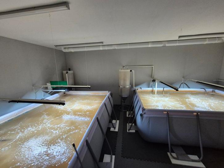 Gezocht: bedrijfshal (viskweek), vanaf april 2026, Doe-het-zelf en Verbouw, Kratten en Dozen, Ophalen of Verzenden