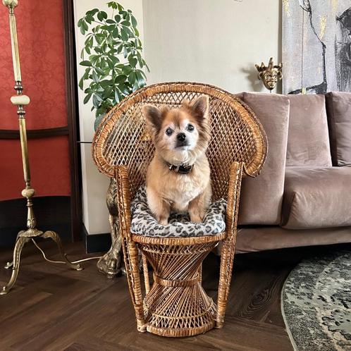Pauwenstoel rotan bohemian vintage, Huis en Inrichting, Stoelen, Eén, Bruin, Ophalen