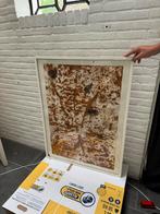 Theo Niermeijer schilderij - roestdruk, Ophalen