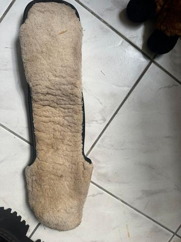 Singel bontje 50 cm beschikbaar voor biedingen