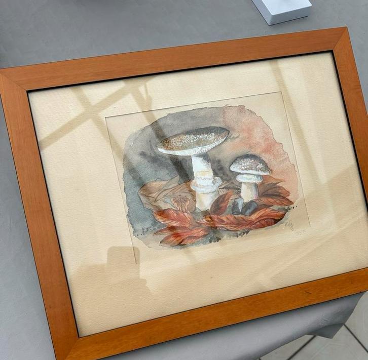 Aquarel Schilderij van Paddestoelen, Antiek en Kunst, Kunst | Schilderijen | Klassiek, Ophalen