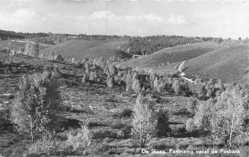 (387-250-007) De Steeg Panorama vanaf de Posbank, Verzamelen, Ansichtkaarten | Nederland, Gelderland, Verzenden