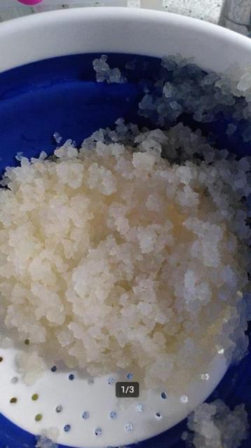 Waterkefir met biologische ingrediënten beschikbaar voor biedingen