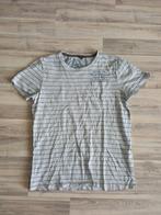 PME Legend Tshirt L, Maat 52/54 (L), Verzenden, Grijs, Pme Legend