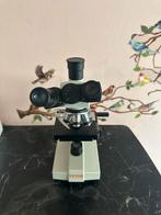 Trinoculaire Microscoop met Meerdere Lenzen, Ophalen of Verzenden, Nieuw, 1000x of meer, Biologische microscoop
