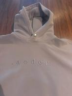 Hoodie sweater merk Aeden maat L, Ophalen of Verzenden, Zo goed als nieuw, Overige kleuren